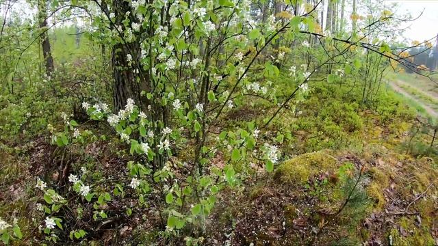 Дизайн и Графика