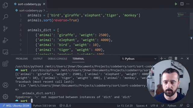 Python sort (rendezés) – Python tutorial magyar felirattal – CodeBerry Programozóiskola смотреть онлайн