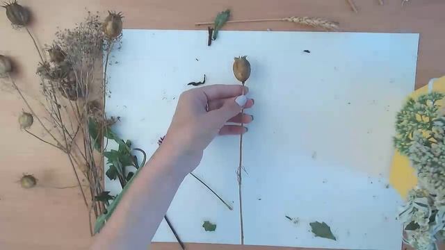 Мастер-класс Разноцветный букет (ДПИ).mp4