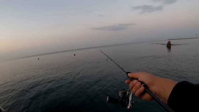 Мой новый БЕРЕГОВОЙ ЛАЙТ. CF Arion 832LS + Daiwa 18’Prorex V LT 2500-xh смотреть онлайн