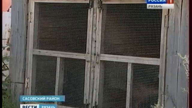 Кинологический центр смотреть онлайн
