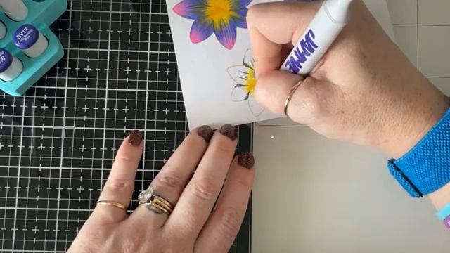 Floral Friday With The Wonderful Waterlily