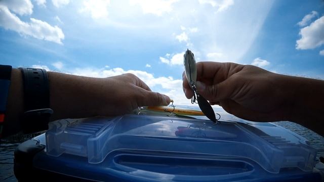 Рыбалка на Kingfisher по болотистой местности