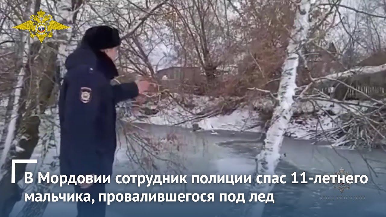 Ирина Волк: В Мордовии сотрудник полиции спас 11-летнего мальчика, провалившегося под лед смотреть онлайн