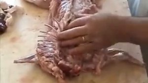 Разделываем кролика или зайца на феле