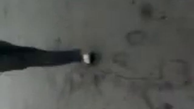 Царицыно,лютый мужик:D смотреть онлайн