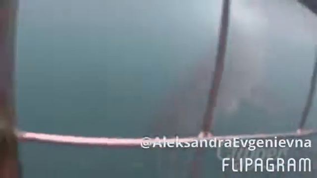 ЮАР- погружение к белым акулам смотреть онлайн