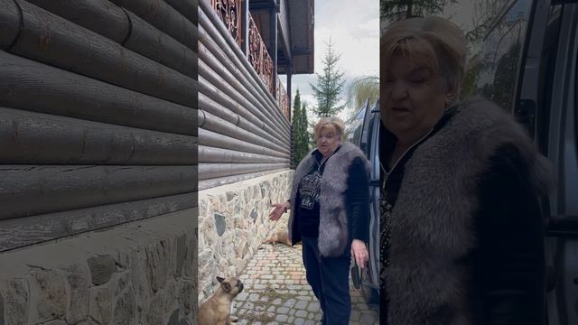 ПОРОДЫ СОБАК КОМПАНЬОНОВ КОМУ НУЖНА ГРЕЛКА ДЛЯ ДУШИ ФРАНЦУЗСКИЙ БУЛЬДОГ #shorts смотреть онлайн