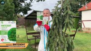 РАКУРС и ПИНОЦИД мощный хвойный MUST HAVE