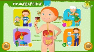 Как устроен человек
