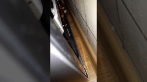 Новый холодильник Samsung, при работе издает странные звуки. Что это может быть?