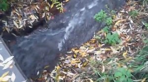 Звон ручья.Бежит ручей на дачном участке
