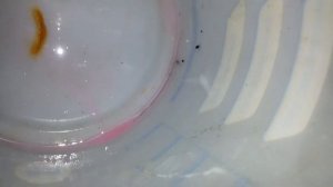 Toyota Rav4 2002.  Плохо греет отопитель салона. Экспериментальные работы.