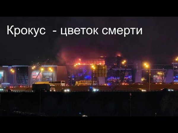 Крокус цветок смерти   https://dzen.ru/a/Zf_g5eLBfQZhcCt4