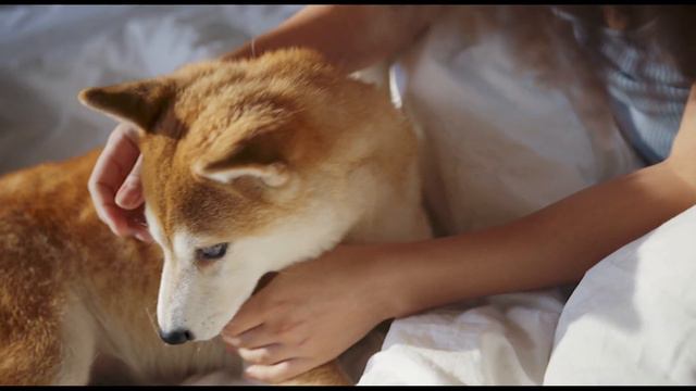 Один час без зрения смотреть онлайн