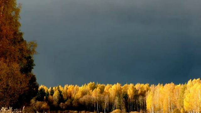 Спасибо Осень - Thank you Autumn -holiday- смотреть онлайн