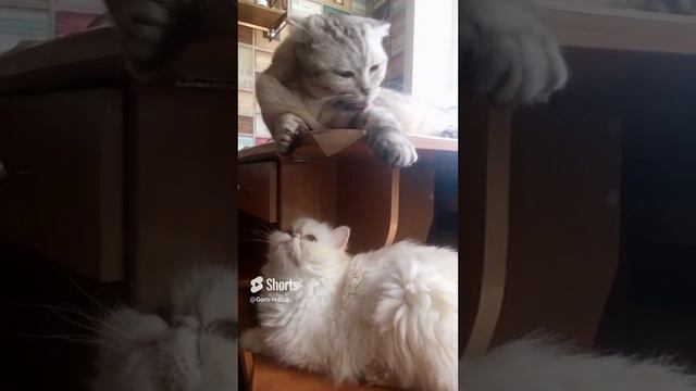 10 августа 2024 г..mp4