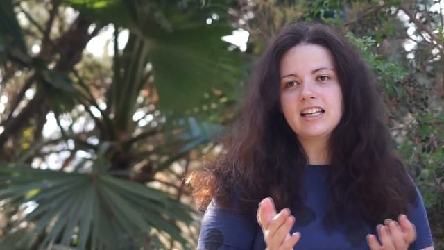 Репатриация в Израиль | Какие документы нести консулу | Почему не дали визу с первого раза смотреть онлайн