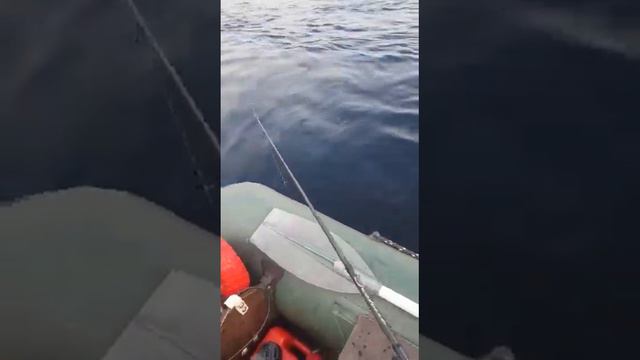 Рыбалка в Карелии река Сегежа смотреть онлайн