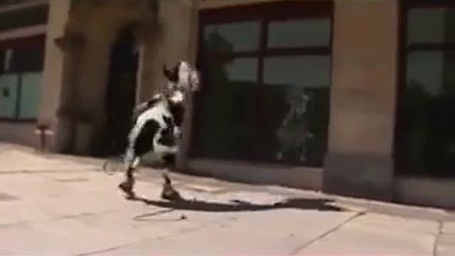 ПЬЯНАЯ КОРОВА|МУУУУ смотреть онлайн