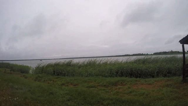 Рыбалка на рыбхозе Любань в День Рыбака Супер клев Карпа. смотреть онлайн