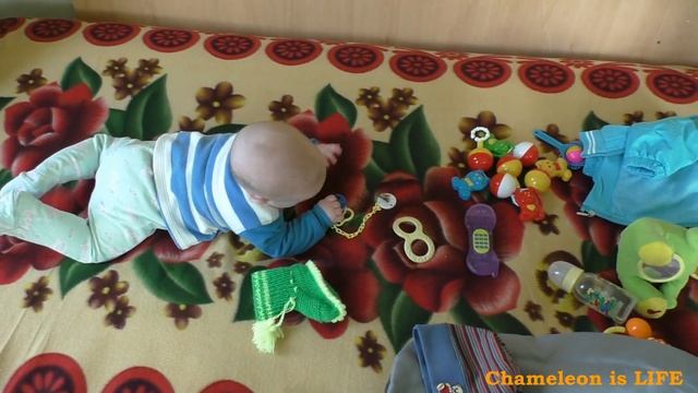 #106 Максимка 5 месяца 1 05 15 Дача у Димана смотреть онлайн