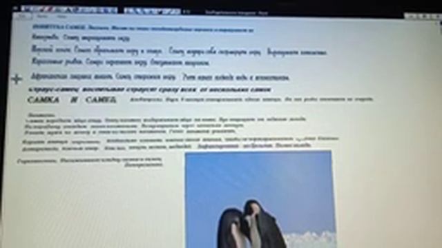 4 12 ЗооРодительское поведение Суринамская пипа Лемуры Павианы Утки Пингвины Крокодилы смотреть онлайн