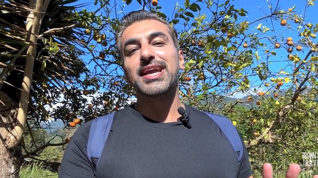 Boquete Panama | Volcan Baru National Park And Lost Waterfalls Hike | Panama