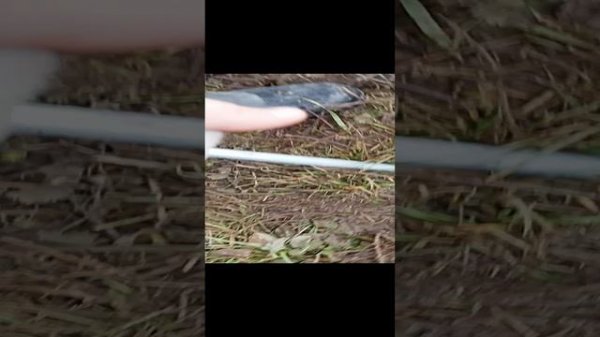 3 день типо рыбалки