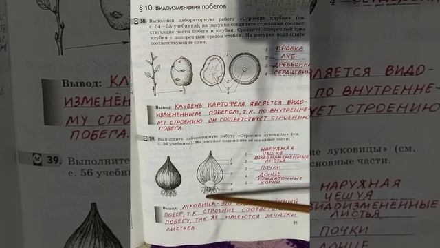 6 класс. ГДЗ. Биология. Рабочая тетрадь.Пасечник. Параграф 10. С комментированием. смотреть онлайн