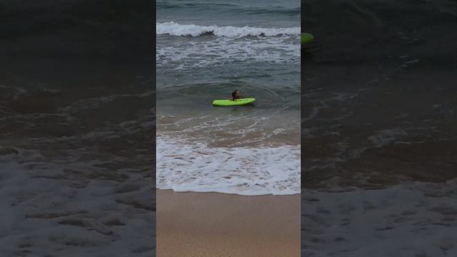 Шри Ланка . Induruwa Sri Lanka смотреть онлайн