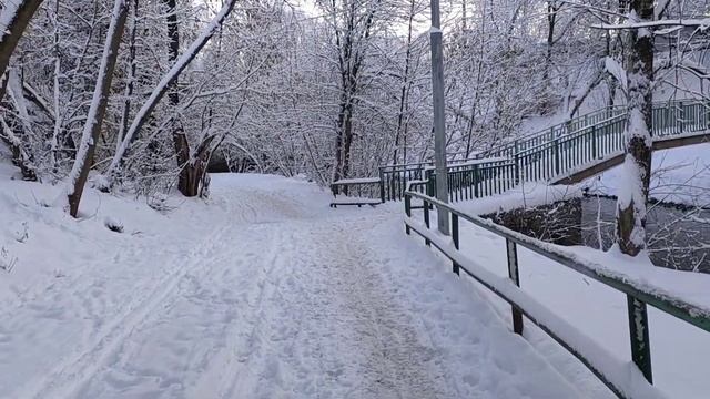 Дорогу педагогу! Нашли хатку бобра и заблудились в лесу. смотреть онлайн
