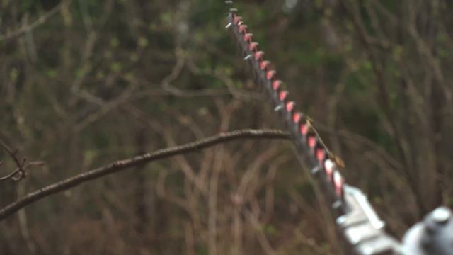 Тест аккумуляторного садового мультитула Greenworks Commercial 82TD10 смотреть онлайн