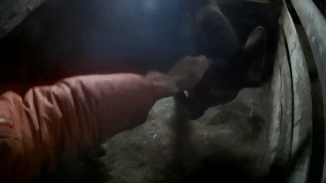 ЧЕРДАК // ЖИВНОСТЬ // ВОПРОСЫ смотреть онлайн