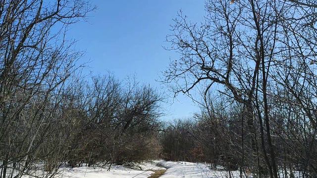 Если вас окружают плохие люди - повышайте вибрации смотреть онлайн