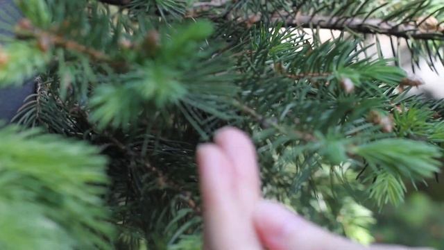 Один день смотреть онлайн