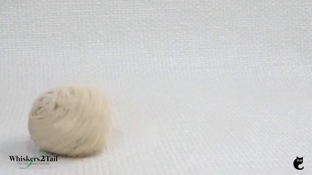 Whiskers2Tail Tofu Cat Litter смотреть онлайн