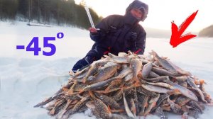 ЭТА МОРМЫШКА КОСИТ ПЛОТВУ И ОКУНЯ Наловили гору рыбы Подводные съёмки ловли на гвоздекубик СИБИРИЯ