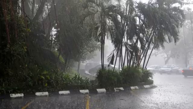 【10時間】 美しい雨の音。  ぐっすり眠れる やさしい雨の音 【快眠】 雨 BGM