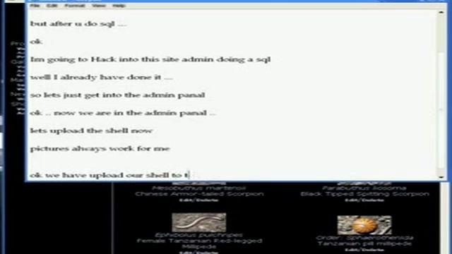 SQL Shell Deface Web Site Hacking смотреть онлайн