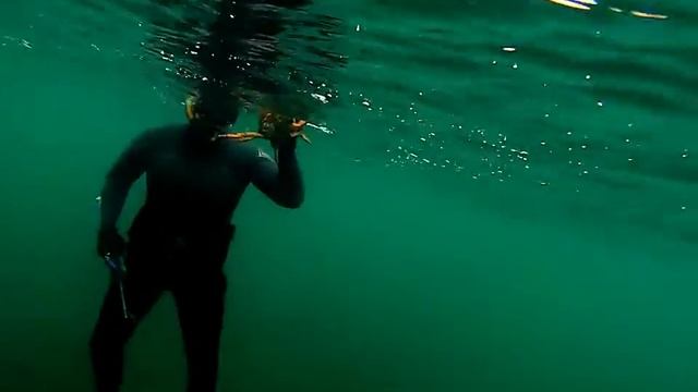 first play snork смотреть онлайн