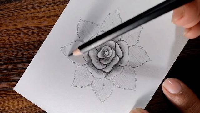How to draw a Rose step by step смотреть онлайн
