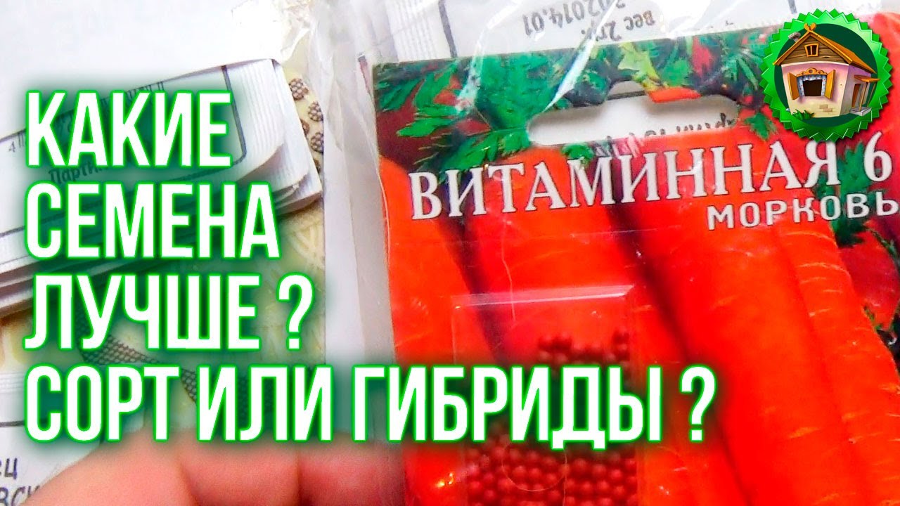 Сортовые семена овощей или гибриды? Лучшие Овощи из Своих Семян. Как Найти Хорошие Семена. 62 серия смотреть онлайн