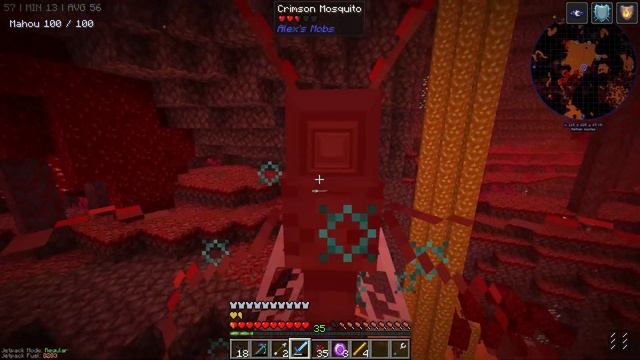 Foraging Storage Centrum [5] - All the Mods 9+ ProtoGod смотреть онлайн