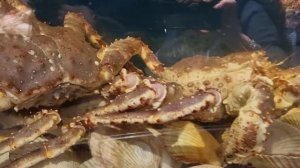 ДОРОГОМИЛОВСКИЙ РЫНОК в Центре МОСКВЫ / Закупаемся МЯСОМ и РЫБОЙ / Сравниваем ЦЕНЫ с Рынком ФУД-СИТ