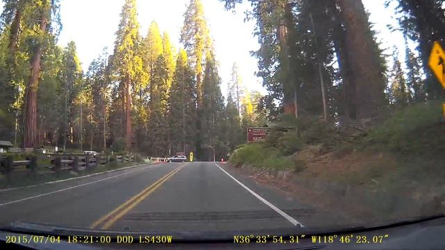 California, Sequoia National Park - Национальный парк секвойя, штат Калифорния смотреть онлайн