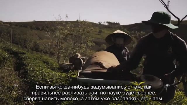 Почему британцы начали пить чай с молоком смотреть онлайн