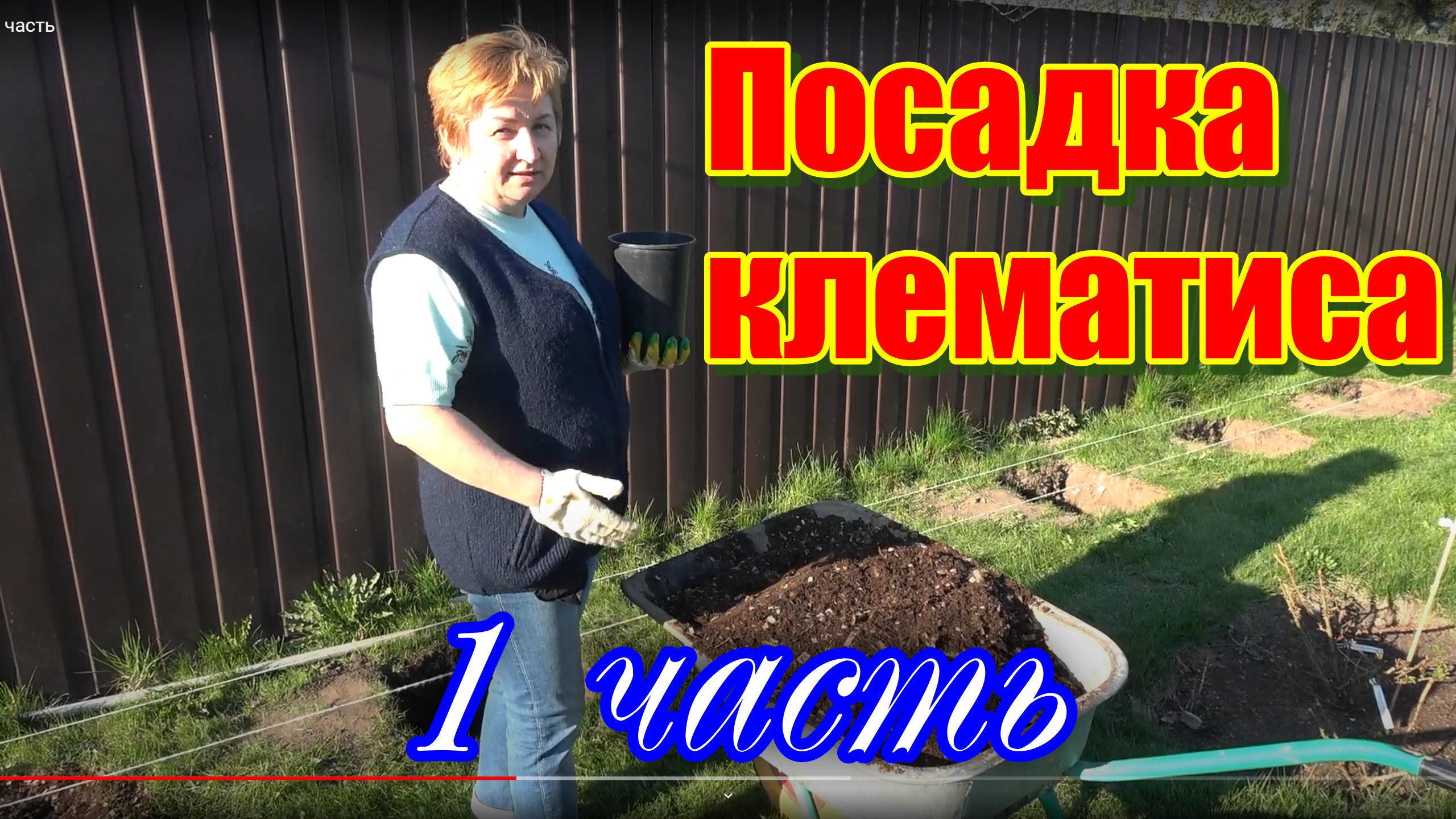Создание клематисария 1 часть смотреть онлайн