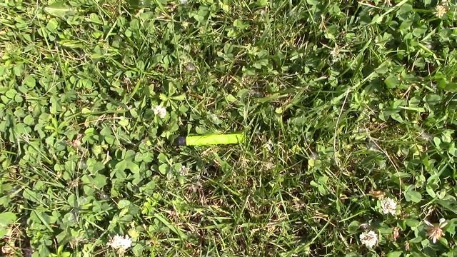 BOOMco Stealth Ambush - Range Test (Stock) смотреть онлайн