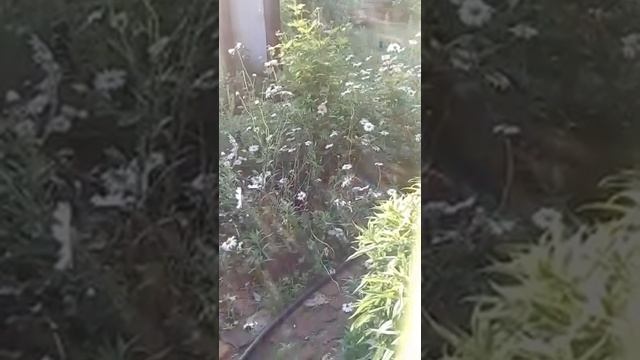 Пристреливаем пневматику смотреть онлайн